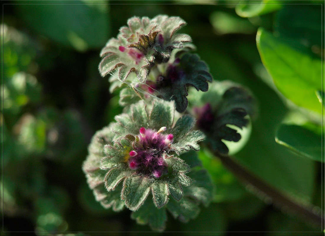 ������ ������ ����� ������  �� PhotoGeek.ru #������ ��� �������