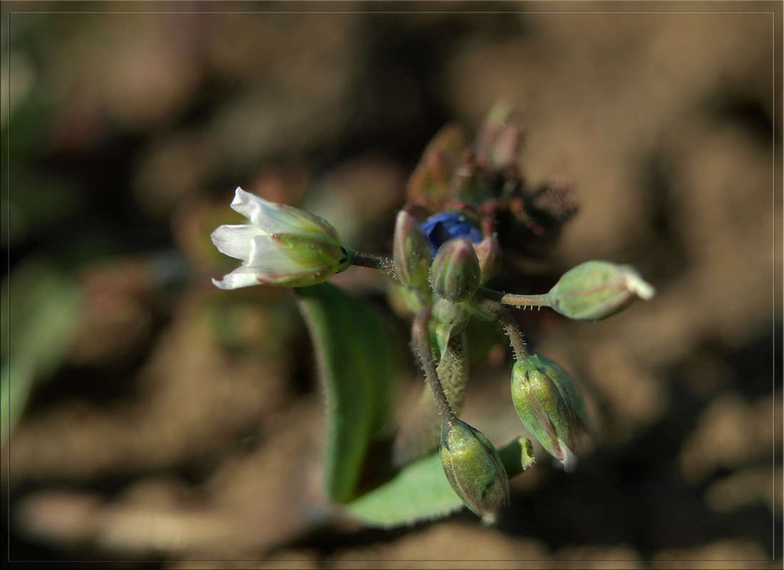 ������ ������ 2 ����� ������  �� PhotoGeek.ru #������ ��� �������