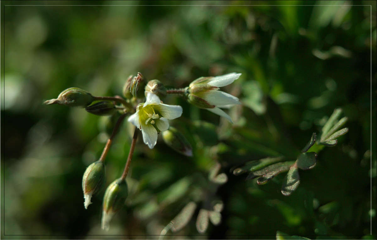 � ���������� �������  6 ����� ������  �� PhotoGeek.ru #������ ��� �������