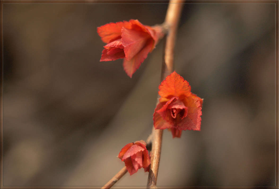 ����������� ����� ������  �� PhotoGeek.ru #������ ��� �������