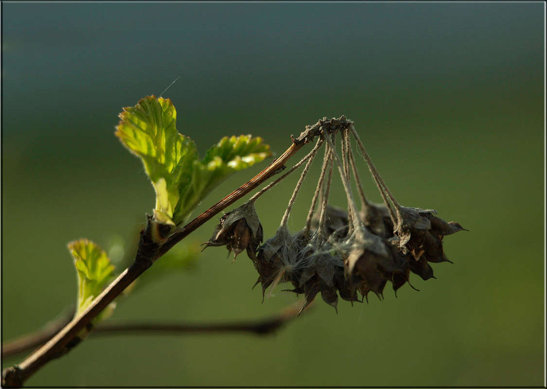 ������ � ����� ����� ������  �� PhotoGeek.ru #������ ��� �������