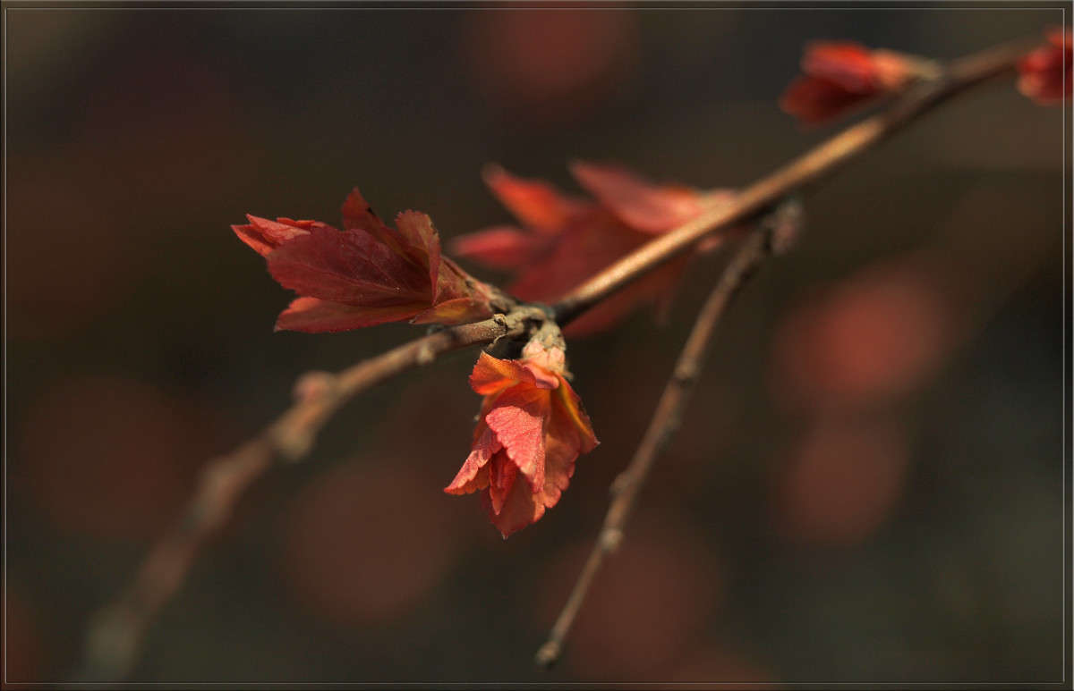 � ����� ������� �������� ����� ������  �� PhotoGeek.ru #������ ��� �������