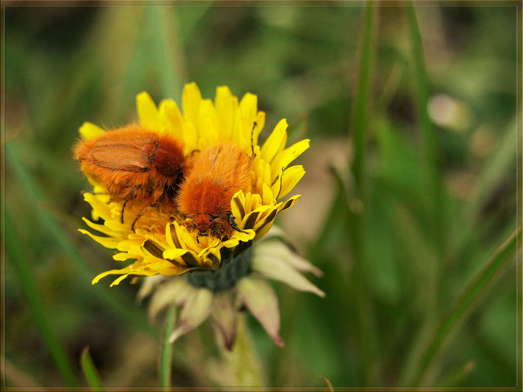 ����� ��������� ���������� ����� ������  �� PhotoGeek.ru #�����