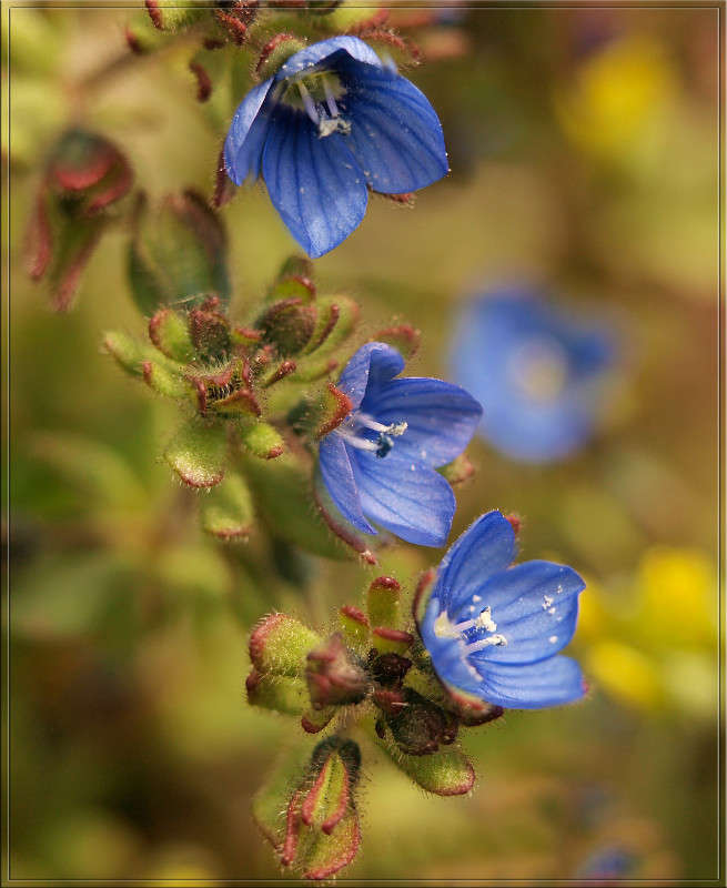 ����������� ����� ������  �� PhotoGeek.ru #������ ��� �������