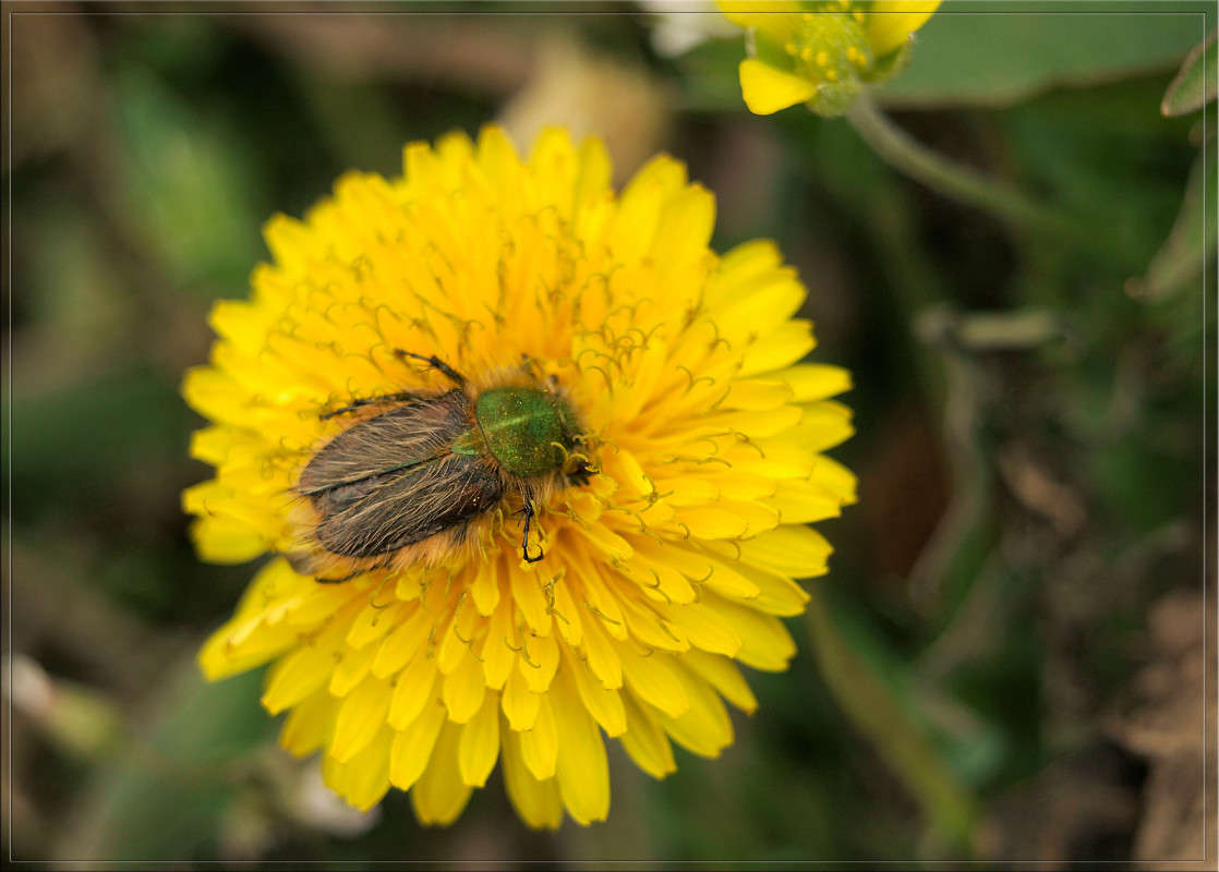 ����� ��� ������ ����� ������  �� PhotoGeek.ru #�����