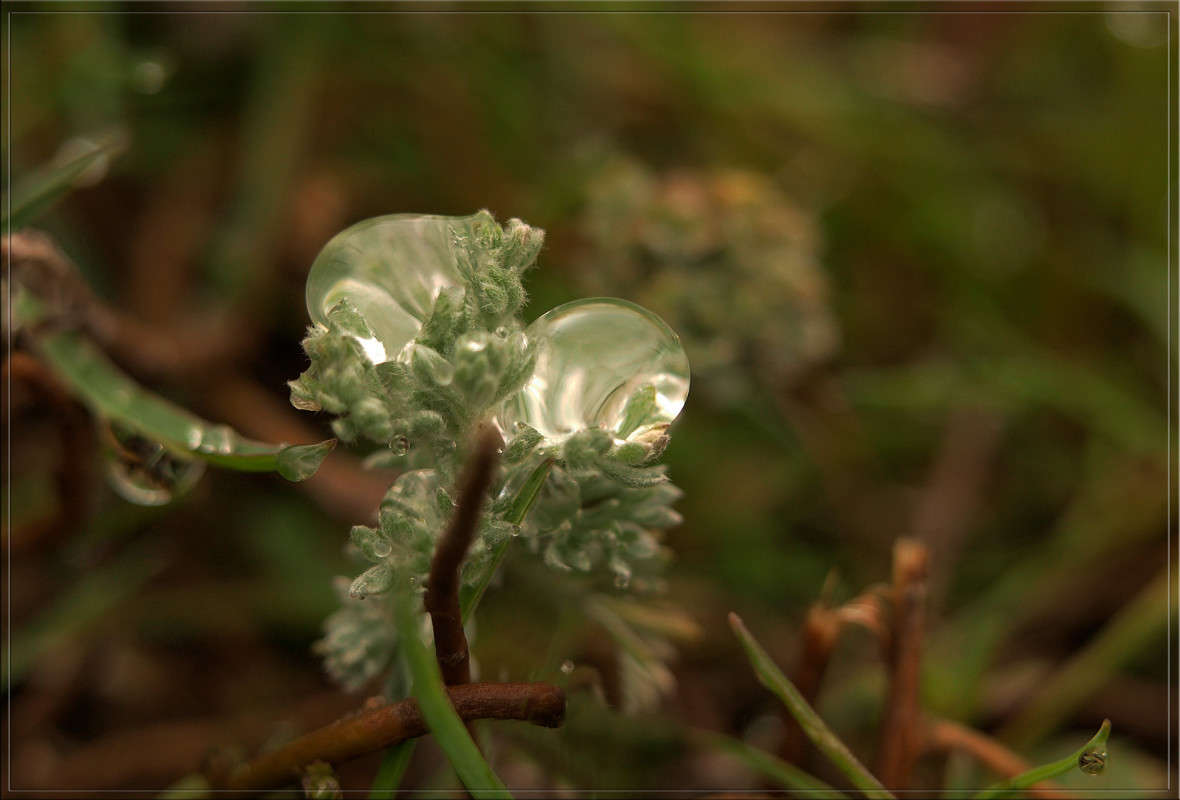 �������� ����������� ����� ������  �� PhotoGeek.ru #������ ��� �������