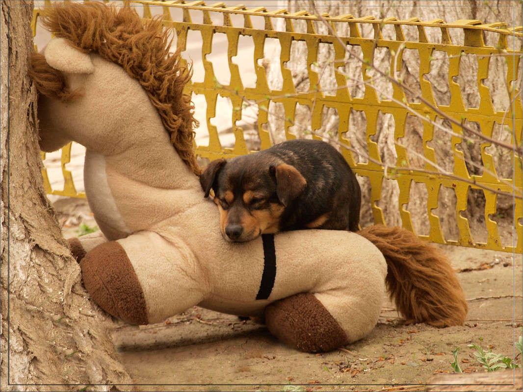 � �� �� ��� ������� ����� ������  �� PhotoGeek.ru #�������� ����������