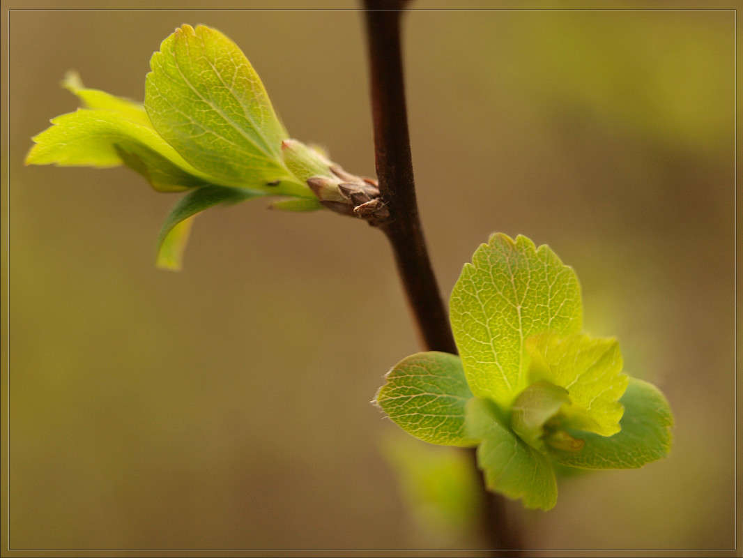 ������ ���������� ����� ������  �� PhotoGeek.ru #������ ��� �������