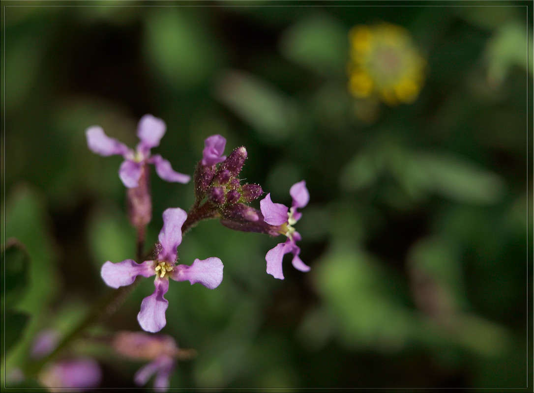 ����������� 7 ����� ������  �� PhotoGeek.ru #������ ��� �������