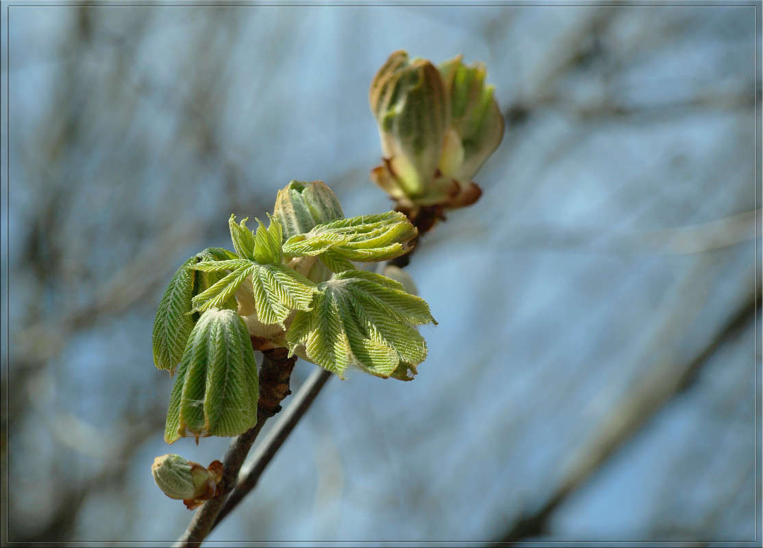 ������ ��������� ����� ������  �� PhotoGeek.ru #������ ��� �������