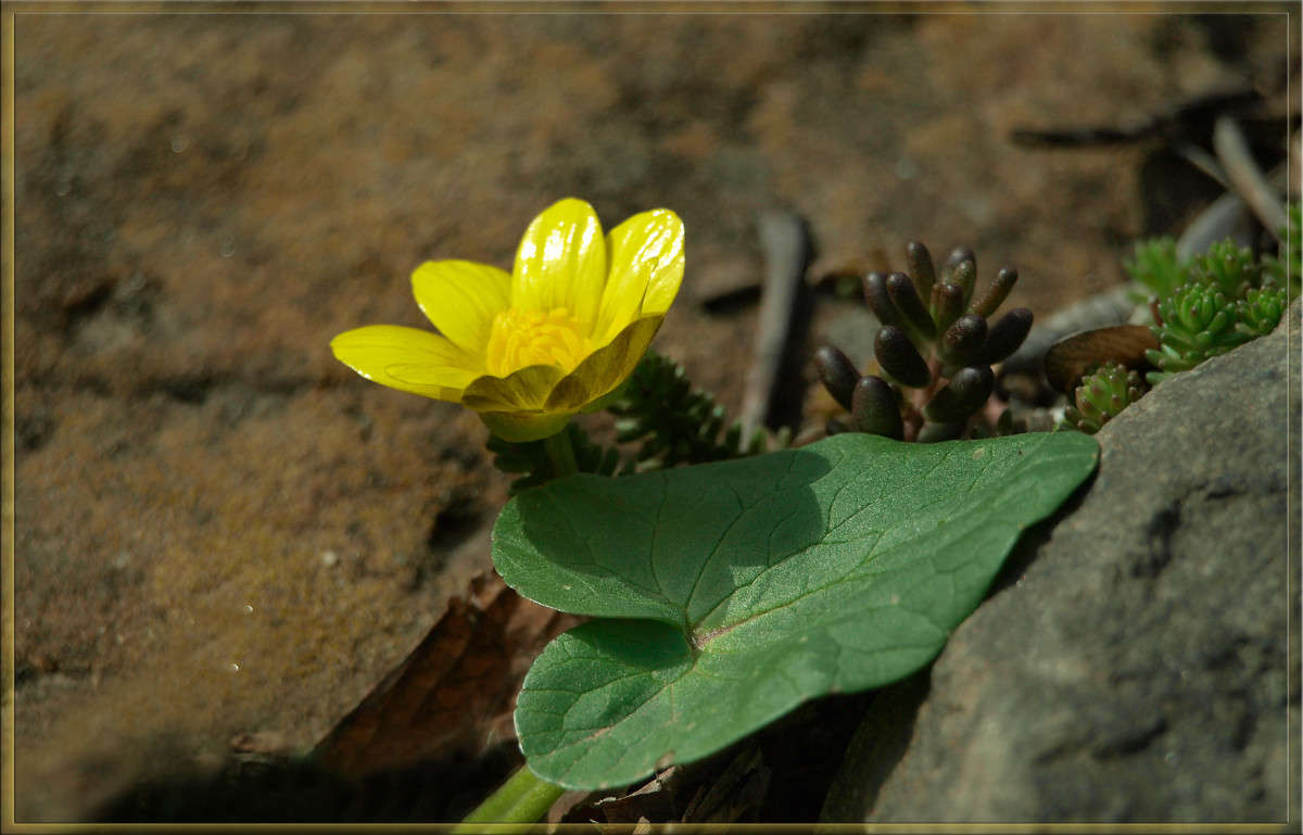 ��������� �������� ����� ������  �� PhotoGeek.ru #������ ��� �������