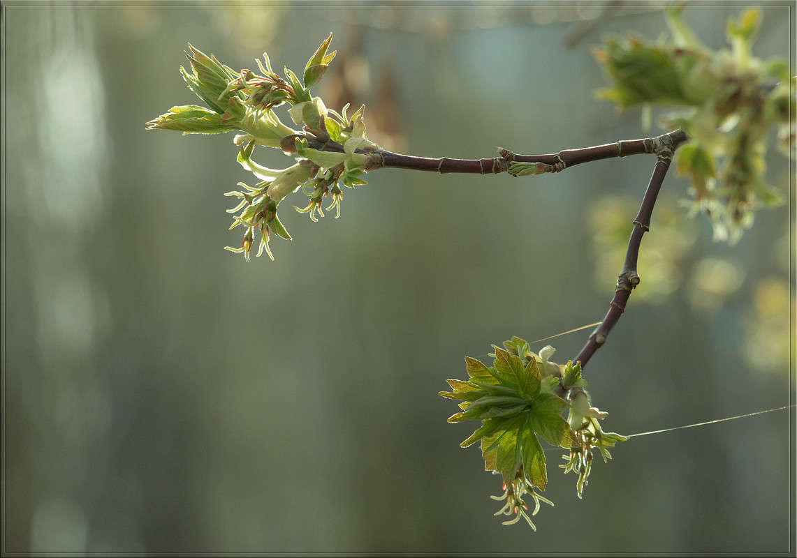 ������� ����� ������  �� PhotoGeek.ru #������ ��� �������