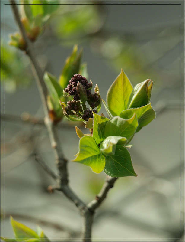 ����� �������� ����� ������  �� PhotoGeek.ru #������ ��� �������