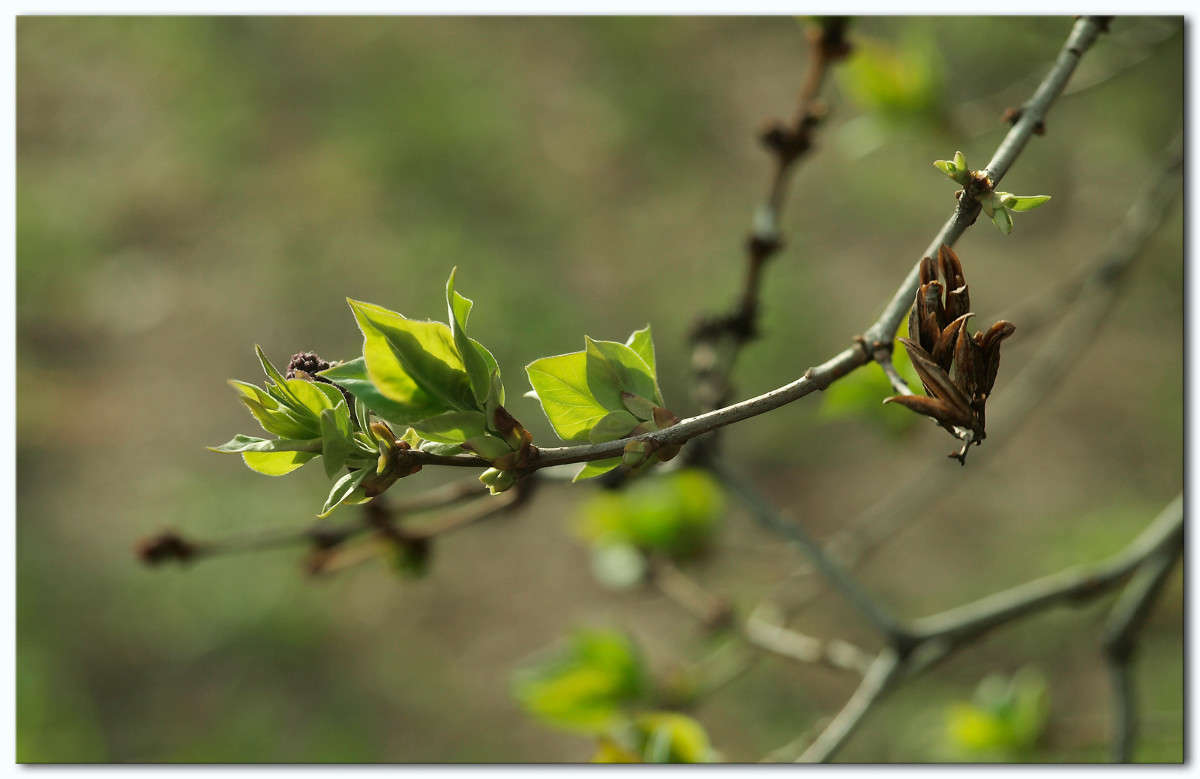 ����� ������ ����� ������  �� PhotoGeek.ru #������ ��� �������