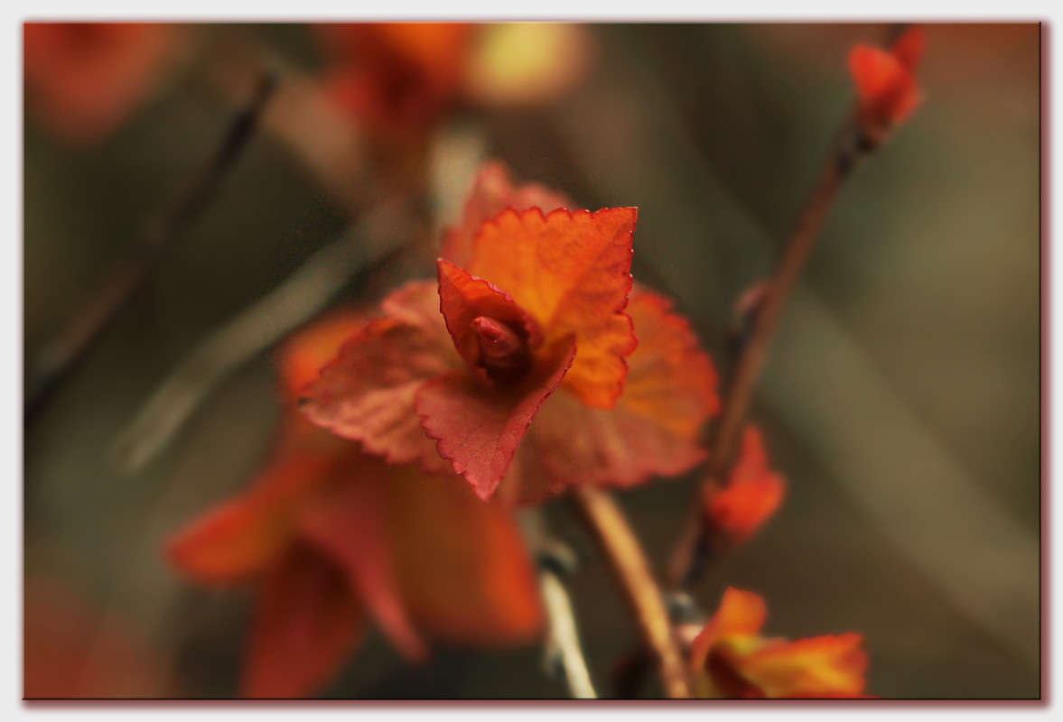 ������� ��������� ����� ������  �� PhotoGeek.ru #������ ��� �������