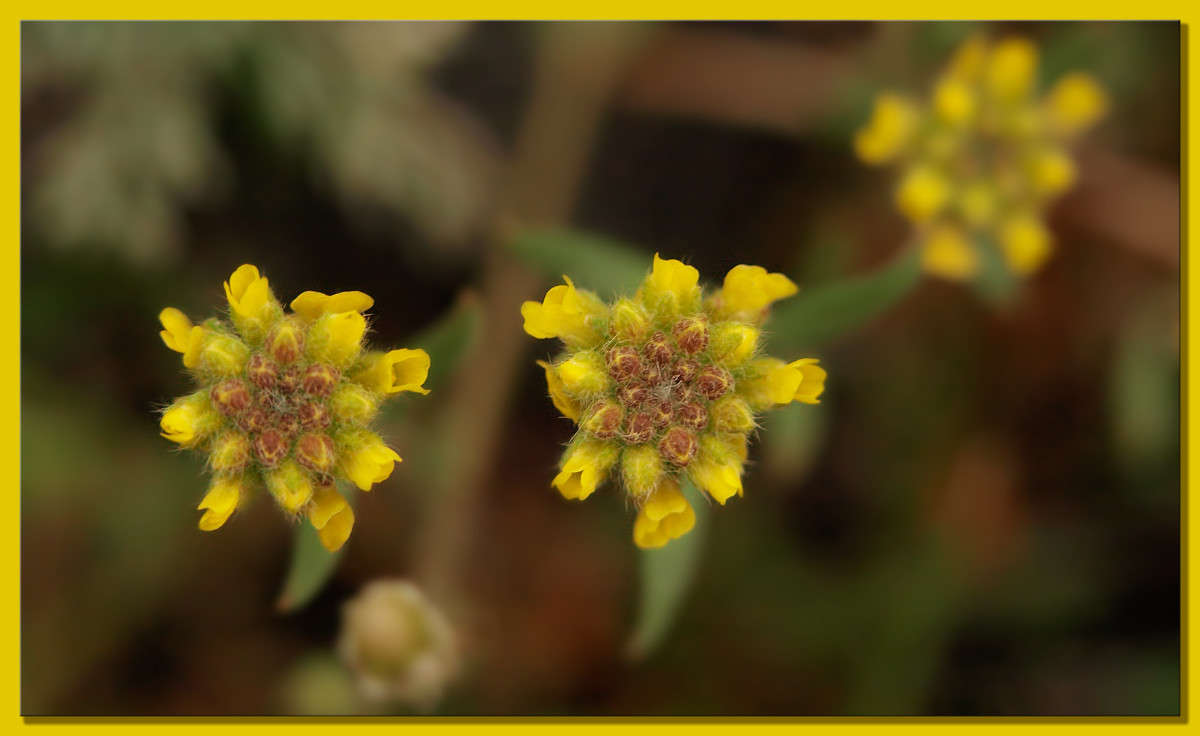 ����������� 9 ����� ������  �� PhotoGeek.ru #������ ��� �������