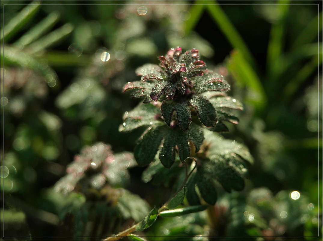 ����������� ����� ����� ������  �� PhotoGeek.ru #������ ��� �������