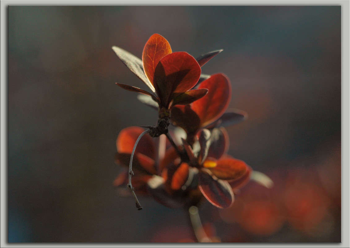 � ��� ������ ����� ����� ������  �� PhotoGeek.ru #������ ��� �������