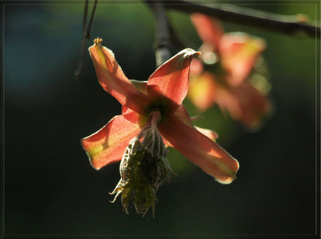 � ��� ������ ����� 2 ����� ������  �� PhotoGeek.ru #������ ��� �������