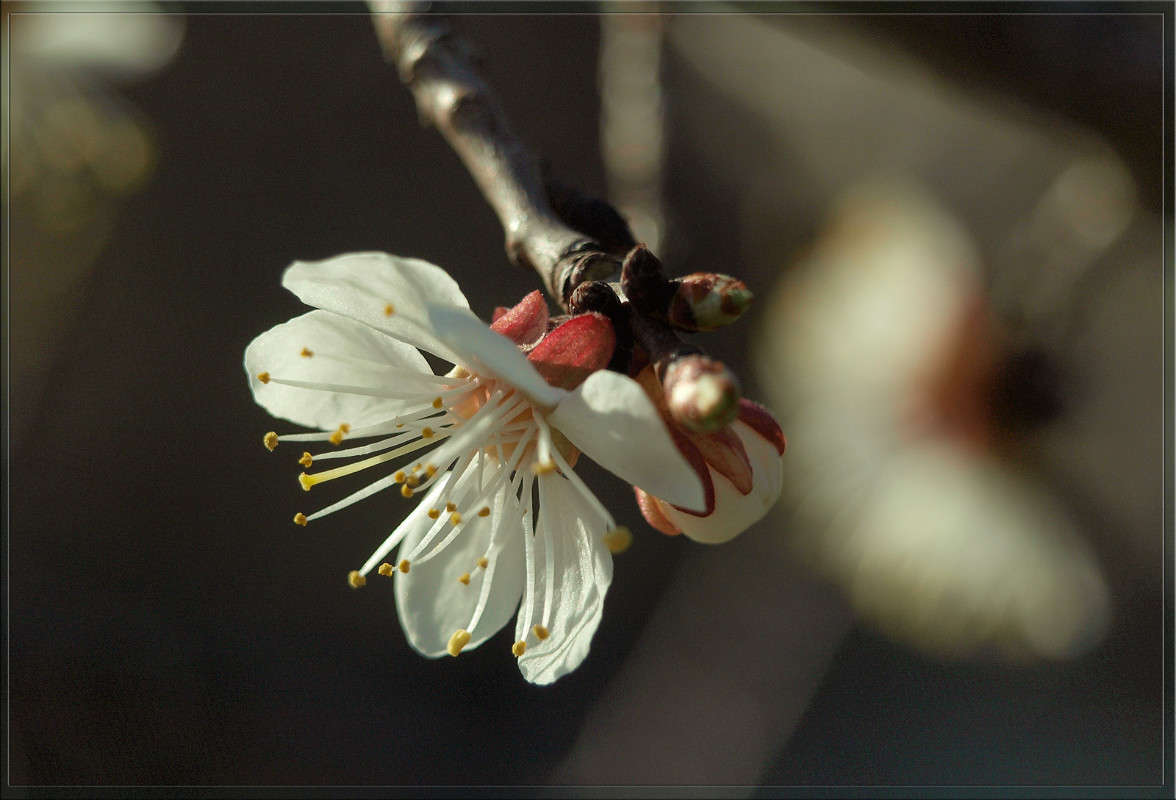 � ��� ������ ����� 3 ����� ������  �� PhotoGeek.ru #������ ��� �������