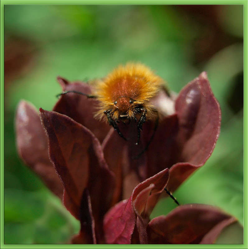 ... ����� ������  �� PhotoGeek.ru #�����