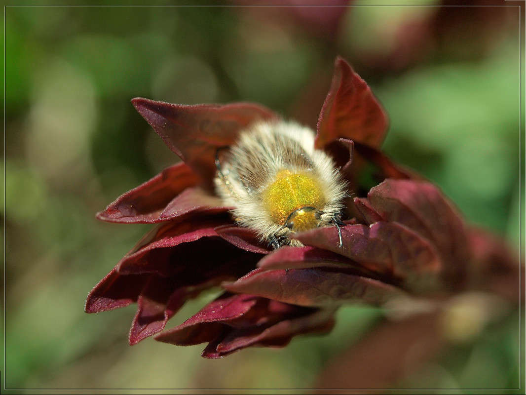 �������� 2 ����� ������  �� PhotoGeek.ru #�����