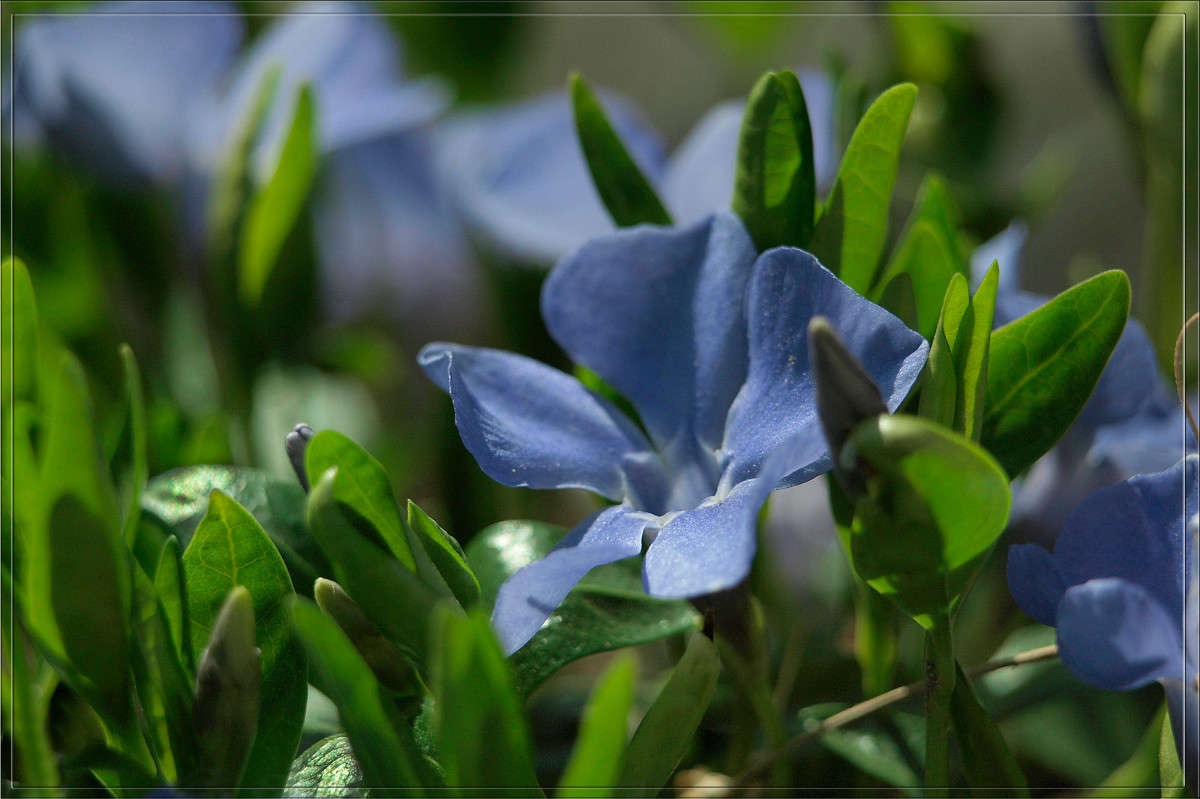 ��������� ������� ����� ������  �� PhotoGeek.ru #������ ��� �������