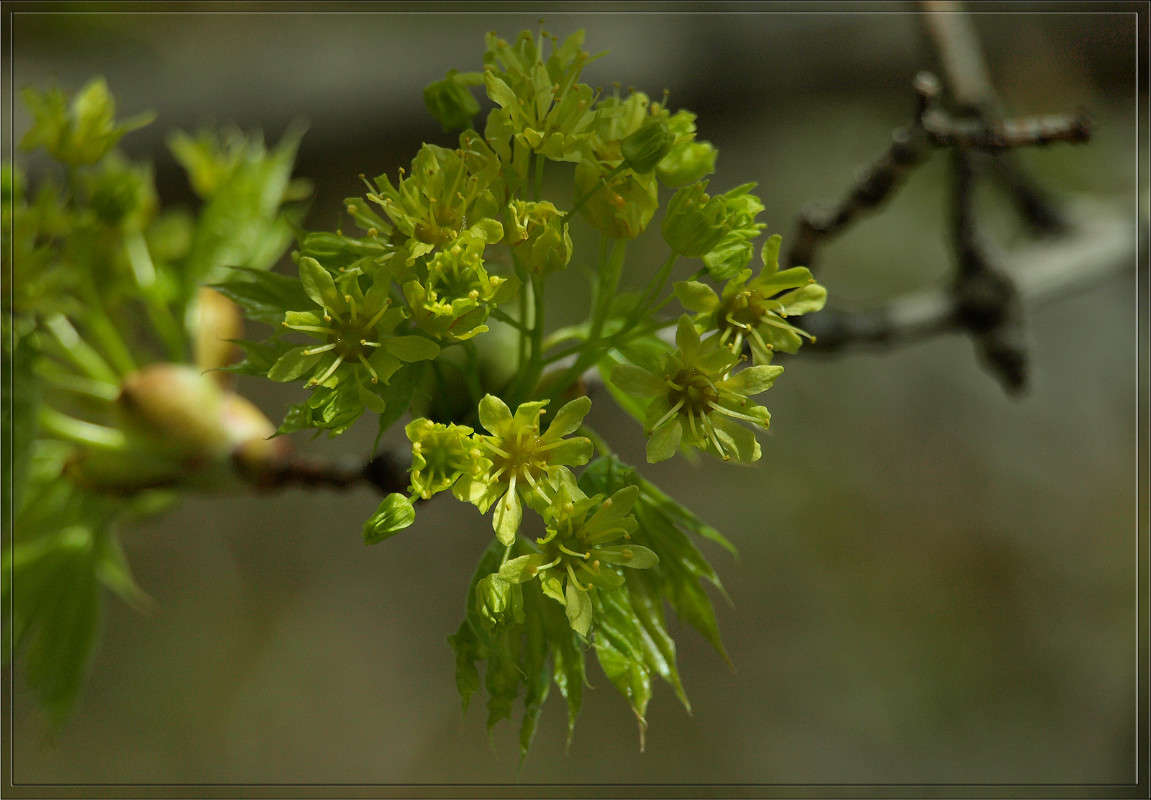 ������� �������� ����� ������  �� PhotoGeek.ru #������ ��� �������