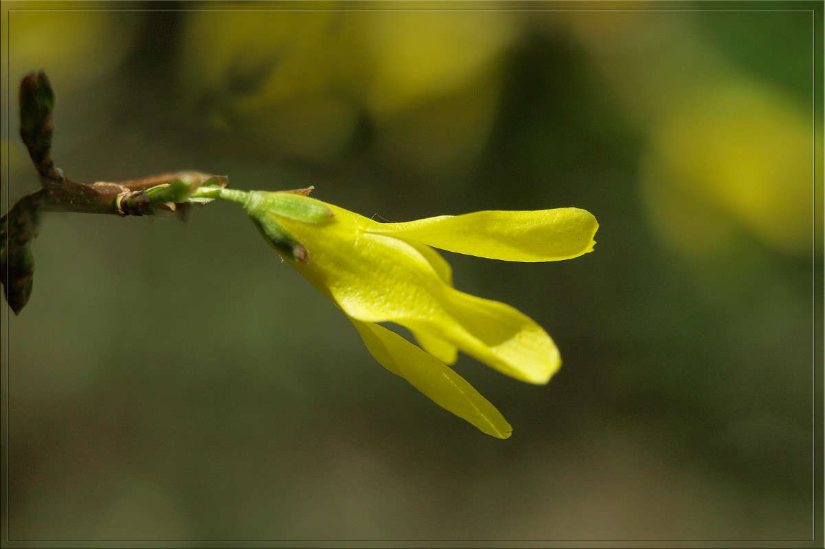 ������� ������ ����� ������  �� PhotoGeek.ru #������ ��� �������