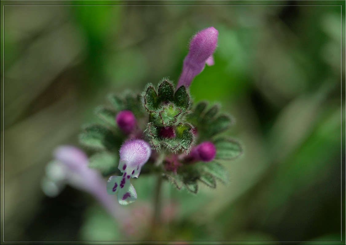 ������� ����� ������  �� PhotoGeek.ru #������ ��� �������