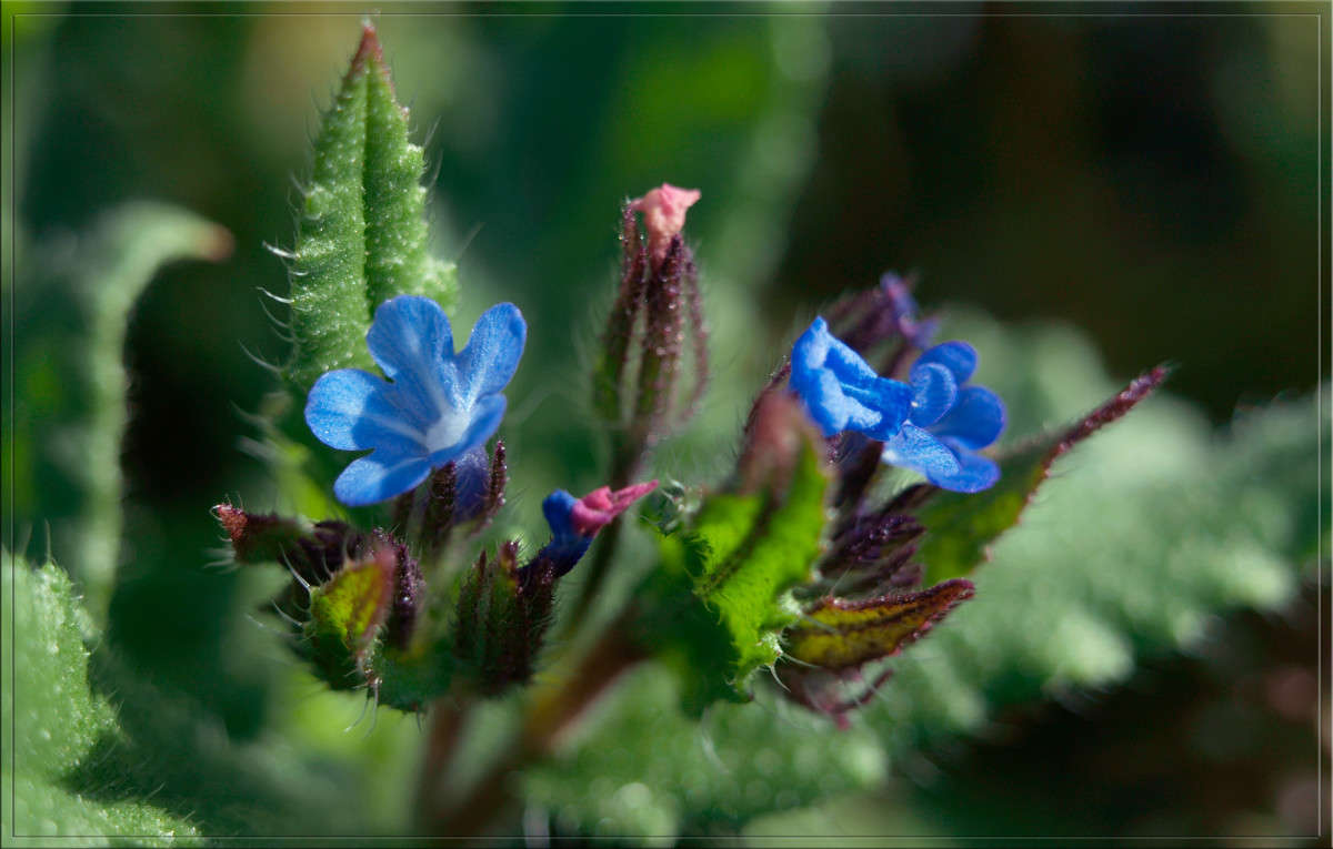 � ���������� �������  7 ����� ������  �� PhotoGeek.ru #������ ��� �������