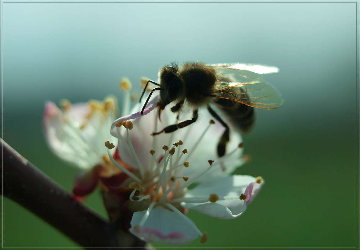 ������ ������ ����� ������  �� PhotoGeek.ru #�����