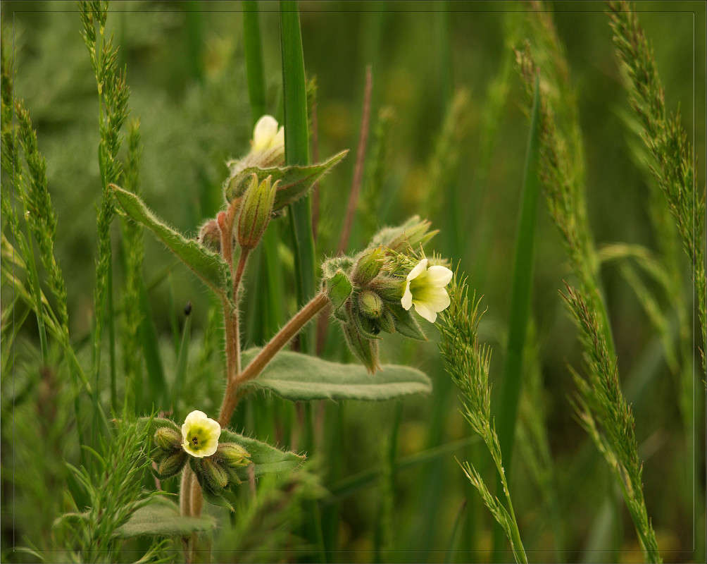 ���� 20 ������ 2 ����� ������  �� PhotoGeek.ru #������ ��� �������