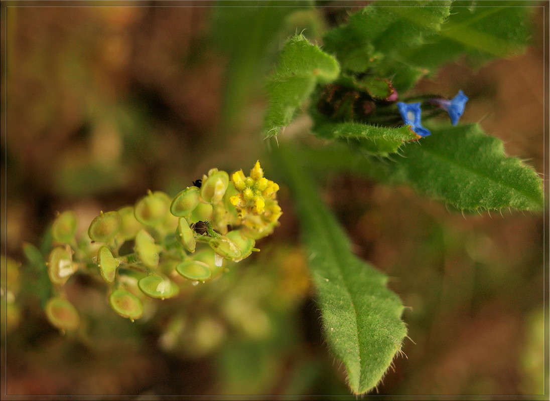 ���� 20 ������ 3 ����� ������  �� PhotoGeek.ru #������ ��� �������