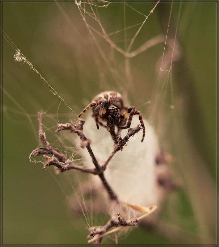 �������� ����� ������  �� PhotoGeek.ru #�����