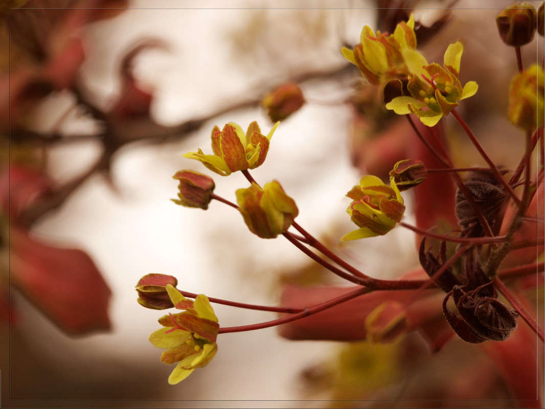 ��������� �������� ����� ������  �� PhotoGeek.ru #������ ��� �������