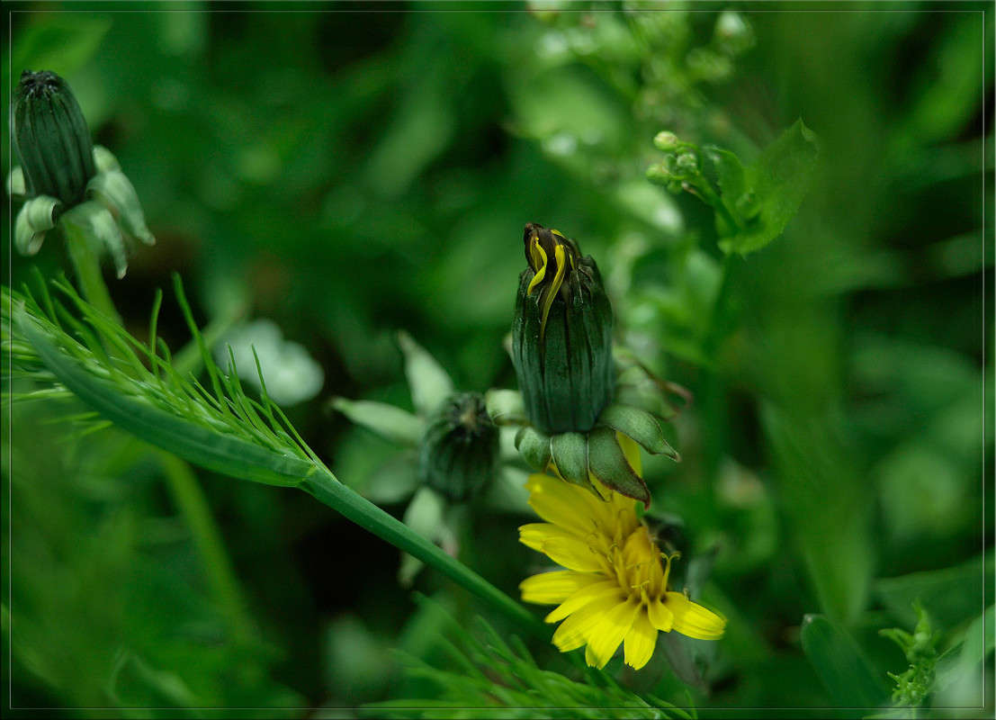 ��������� � ������ ����� ������  �� PhotoGeek.ru #������ ��� �������