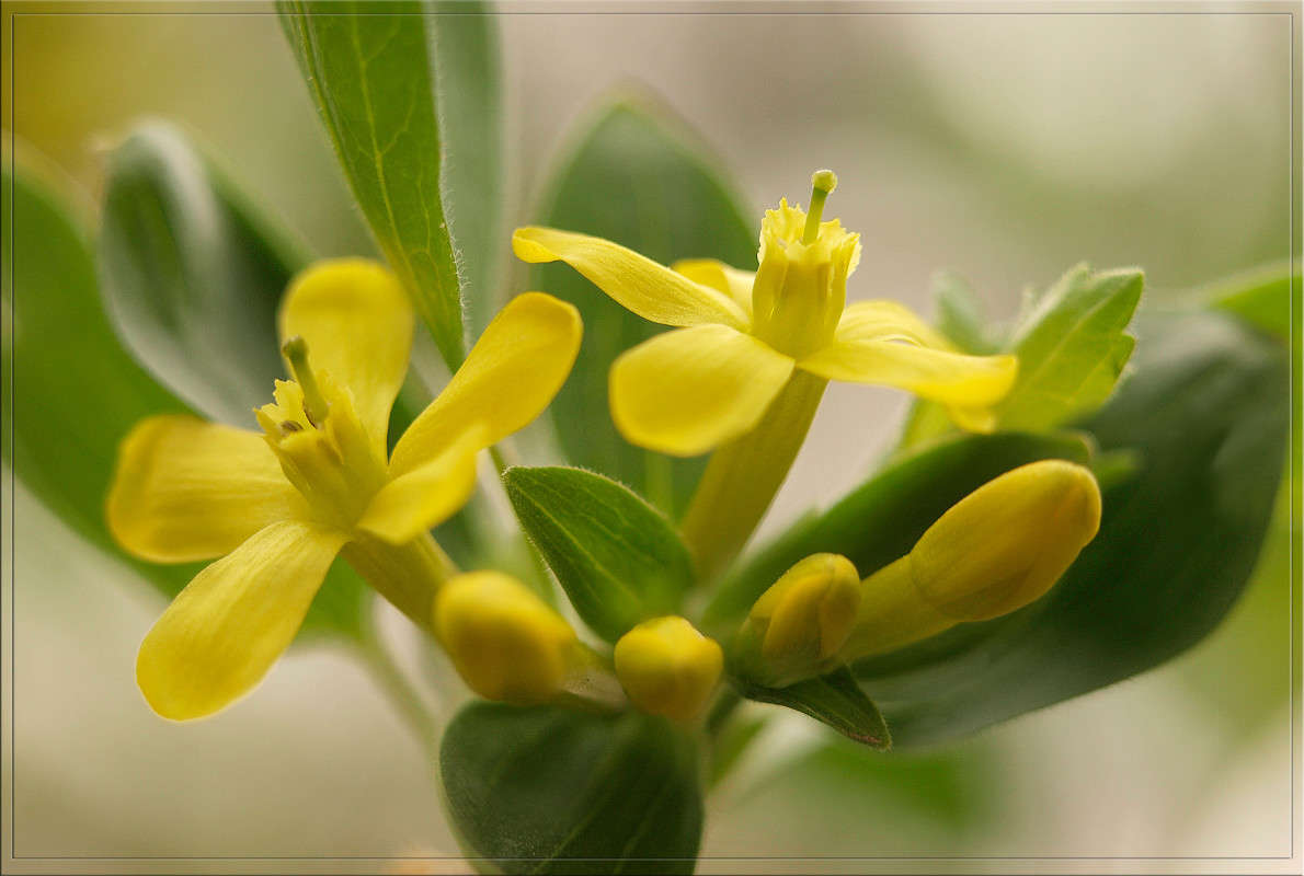 ������������ ����� ������  �� PhotoGeek.ru #������ ��� �������