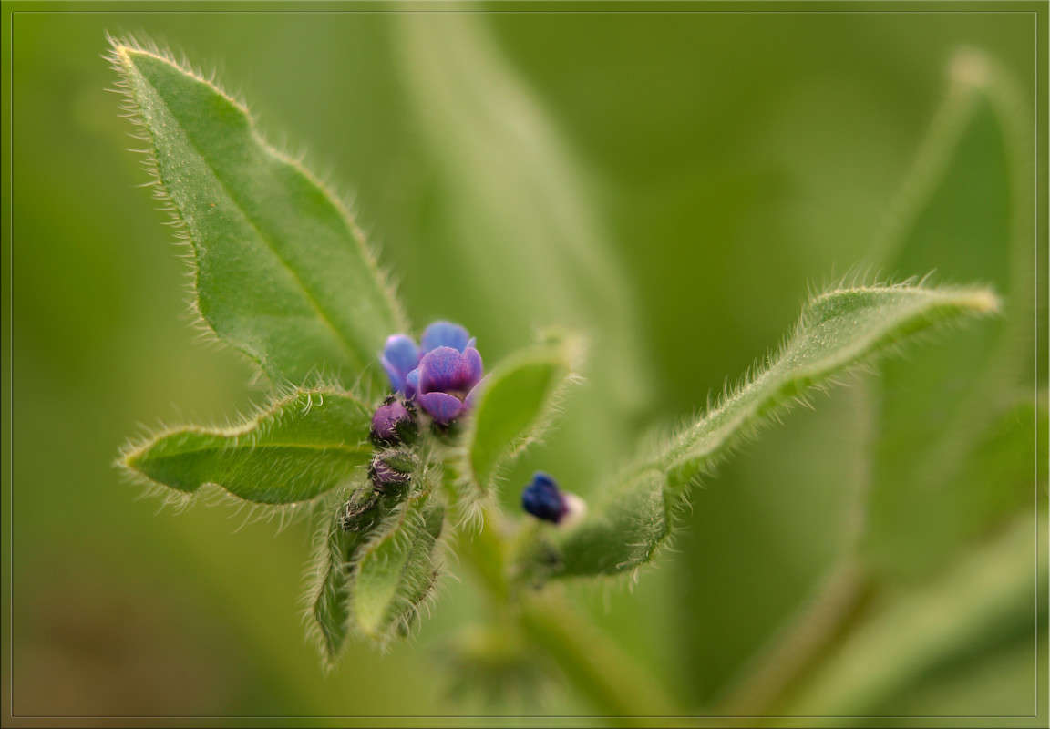 ����������� 10 ����� ������  �� PhotoGeek.ru #������ ��� �������