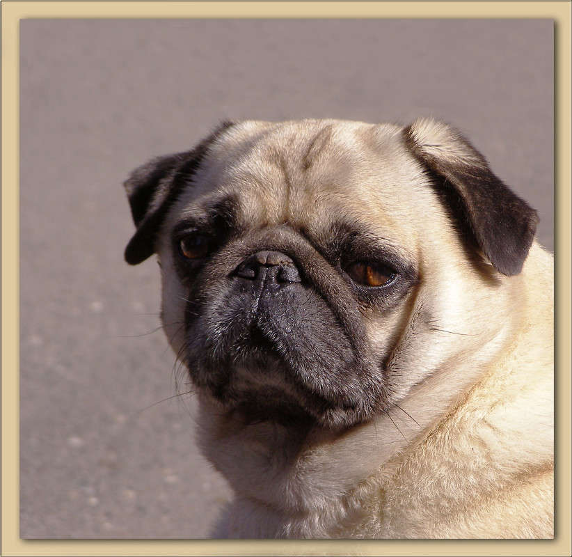 ������ � �������� ����� ������  �� PhotoGeek.ru #�������� ���