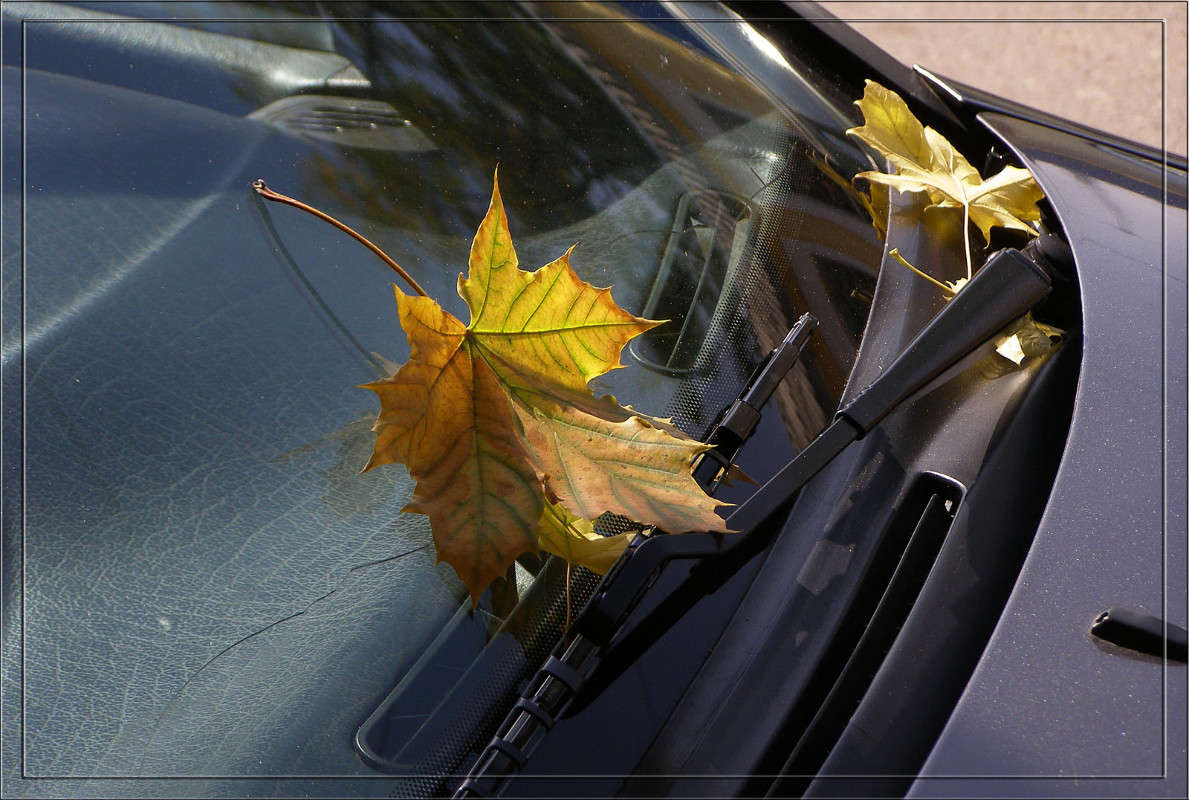 ������ ��� ����� ����� ������  �� PhotoGeek.ru #�������� ����������