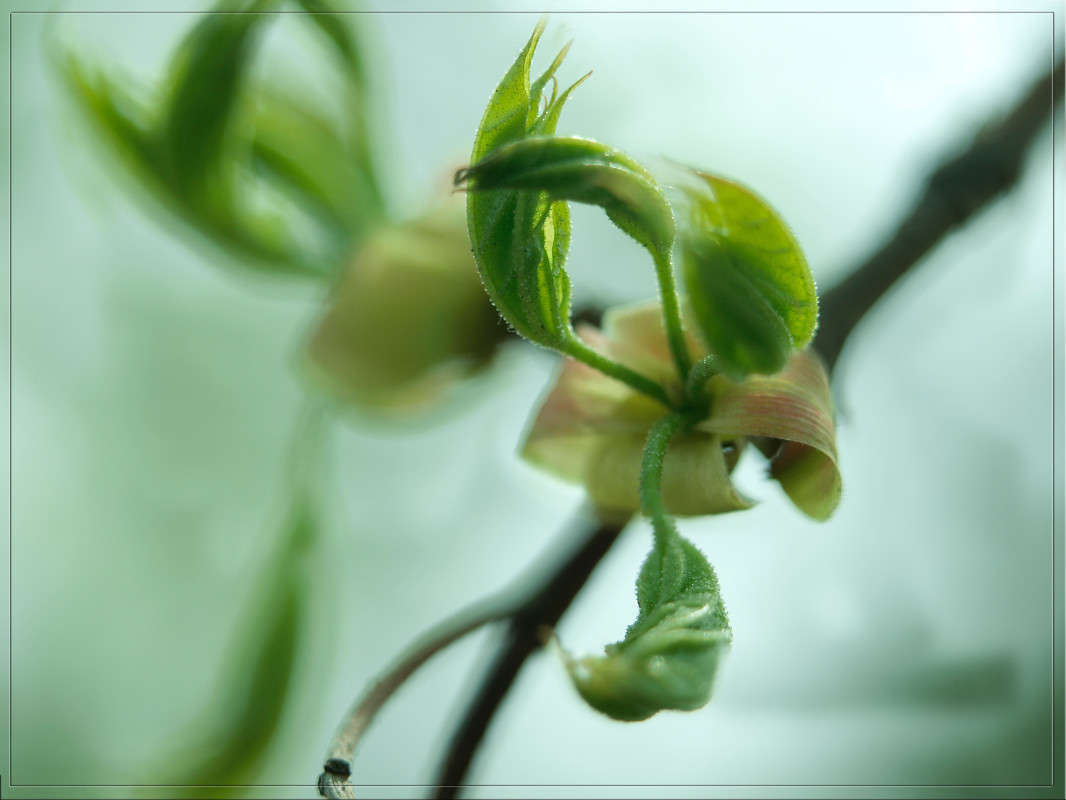 ���� 25 ����� ������  �� PhotoGeek.ru #������ ��� �������