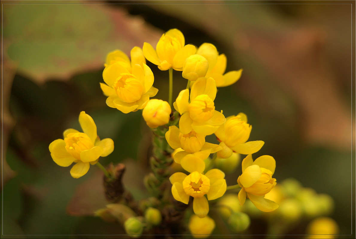 С булавочную головку 9 / С булавочную головку 9 / Фотография на ...