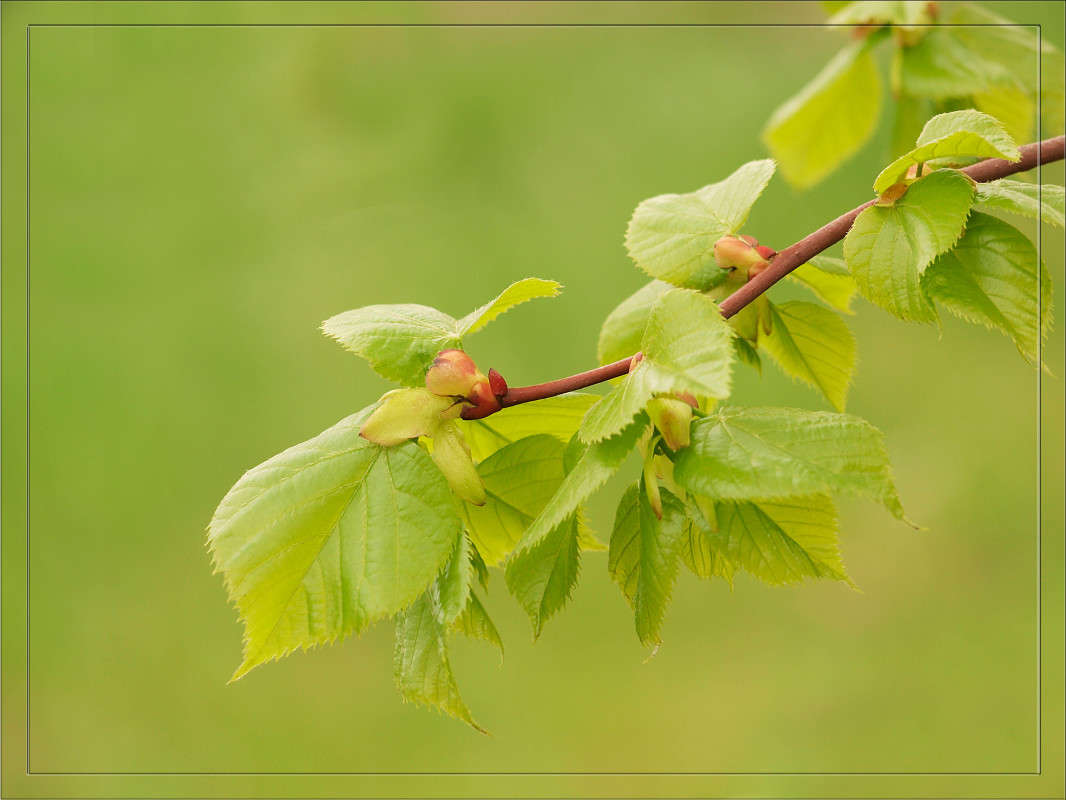 ��� ����� ������� ����� ������  �� PhotoGeek.ru #������ ��� �������