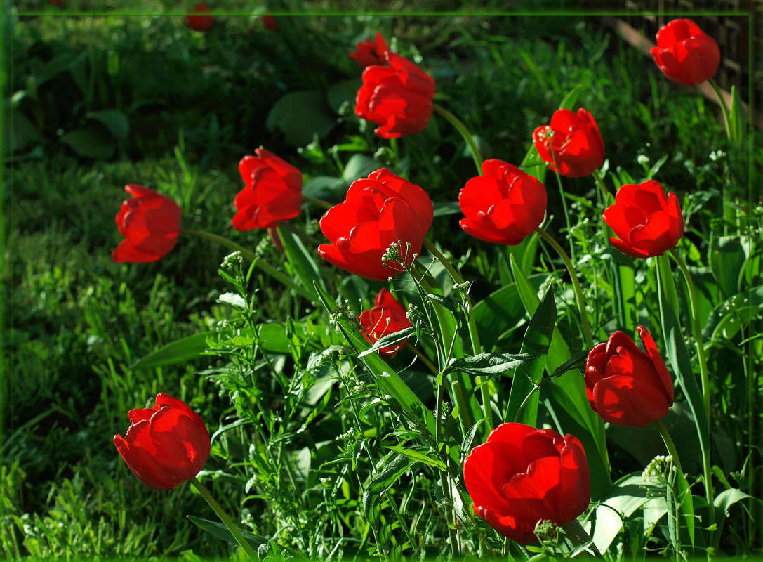 ������������� �������� ����� ������  �� PhotoGeek.ru #������ ��� �������