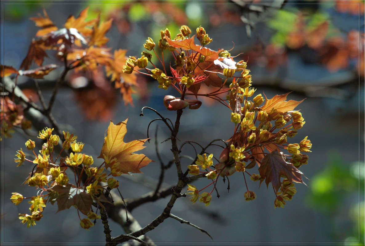 ��� ����� ������ ����� ������  �� PhotoGeek.ru #������ ��� �������