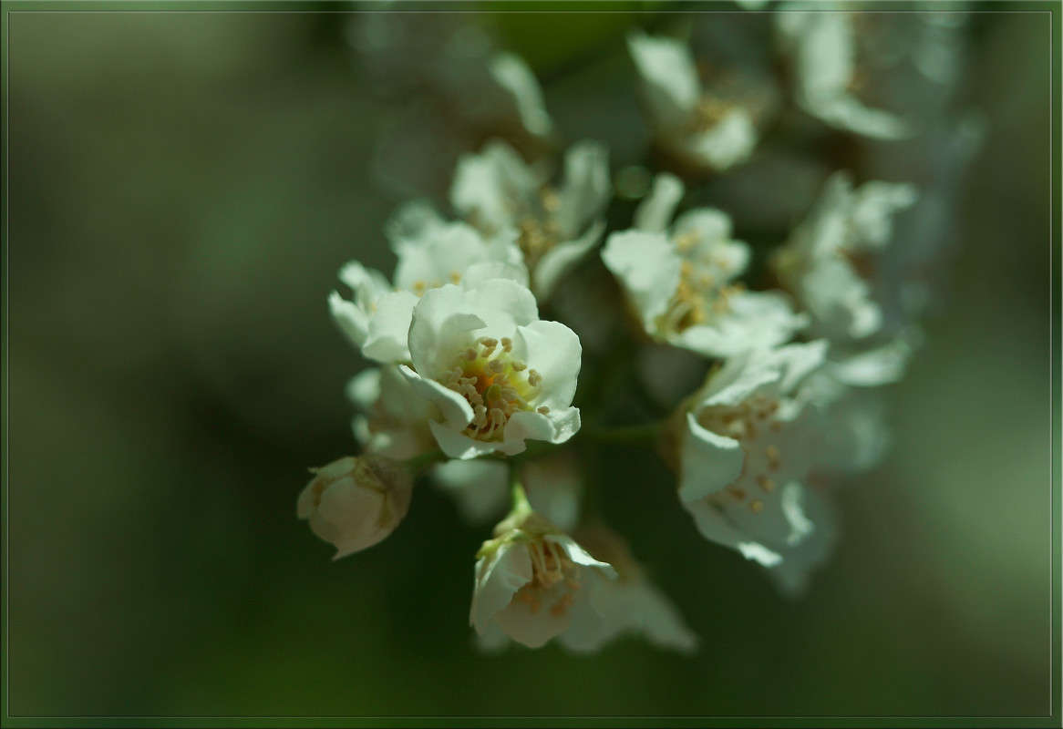 �������� ���� ����� ������  �� PhotoGeek.ru #������ ��� �������