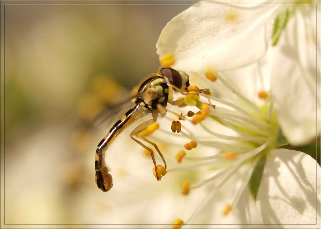 �������� ����� ������  �� PhotoGeek.ru #�����