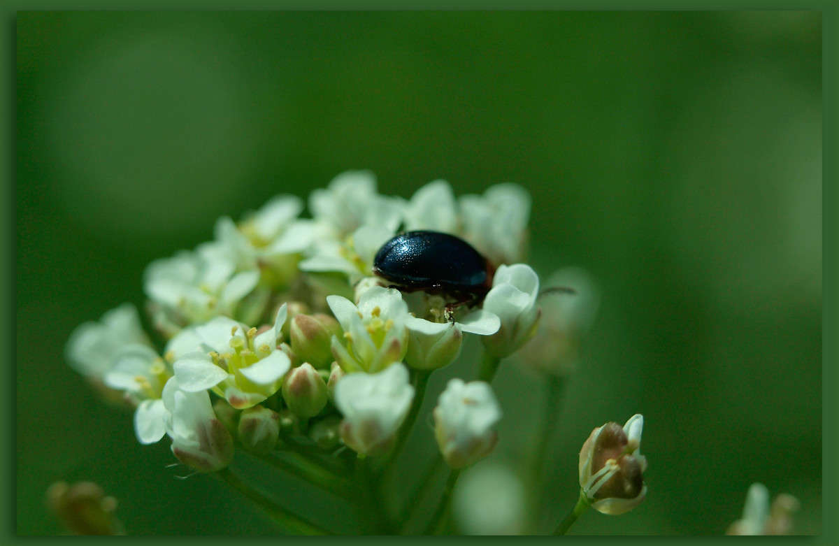 ������� ����� ������  �� PhotoGeek.ru #�����