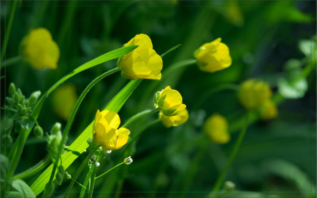 ����� ������ � ������� ����� ������  �� PhotoGeek.ru #������ ��� �������